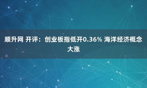 顺升网 开评：创业板指低开0.36% 海洋经济概念大涨