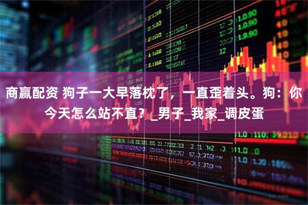商赢配资 狗子一大早落枕了，一直歪着头。狗：你今天怎么站不直？_男子_我家_调皮蛋