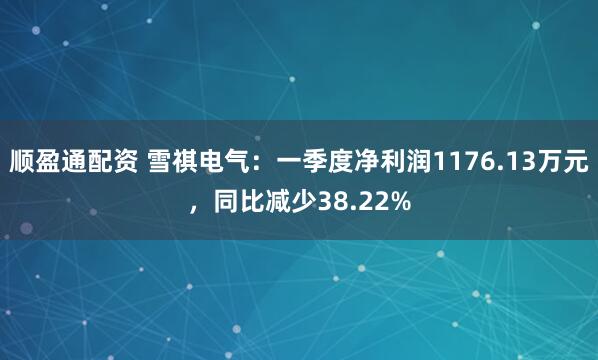 顺盈通配资 雪祺电气：一季度净利润1176.13万元，同比减少38.22%